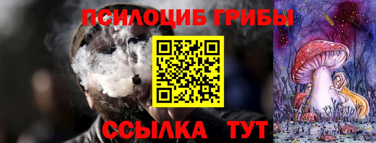 наркошоп  Вход с VPN  Черняховск  Галлюциногенные грибы Cubensis 