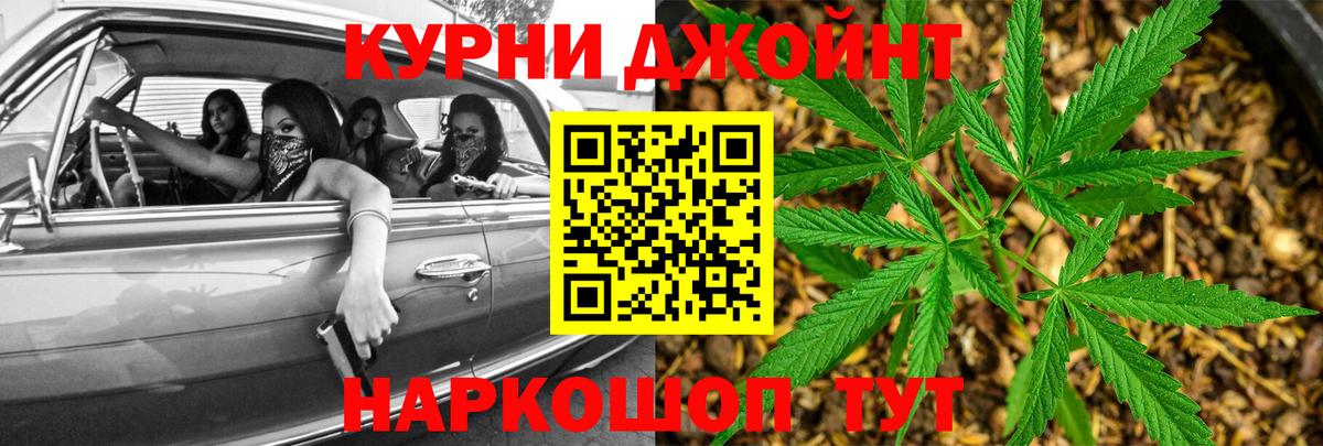 Бошки Шишки SATIVA & INDICA  Каннабис план  Вход с VPN  Черняховск  Каннабис Amnesia 