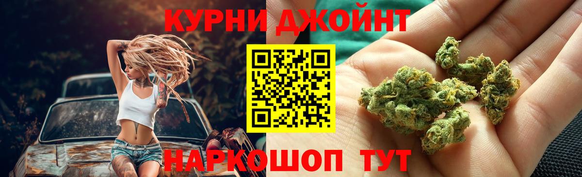 Каннабис план Черняховск